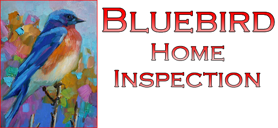 Bluebird Home Inspection and Handyman Services