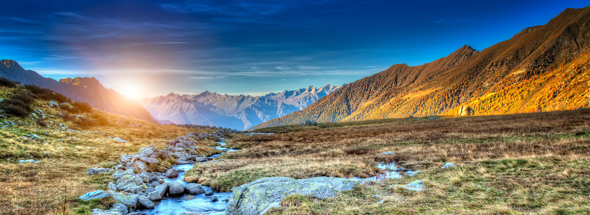 Bluebird Home Inspections