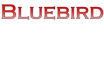 Bluebird Home Inspections